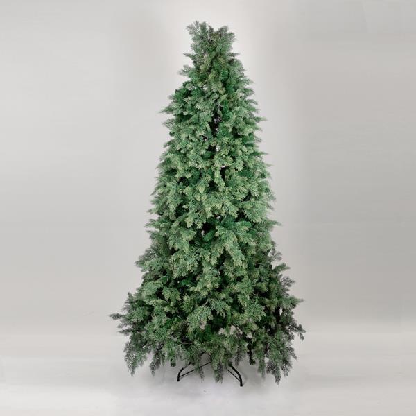 ΔΕΝΤΡΟ ΕΛΑΤΟ ΓΑΛΛΙΑ 138x138x220