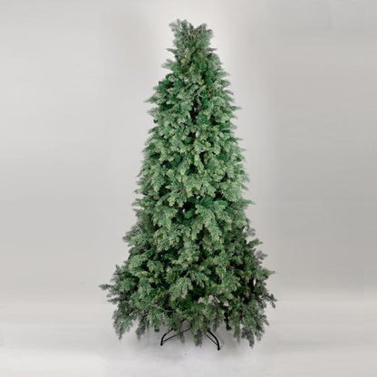 ΔΕΝΤΡΟ ΕΛΑΤΟ ΓΑΛΛΙΑ 138x138x220