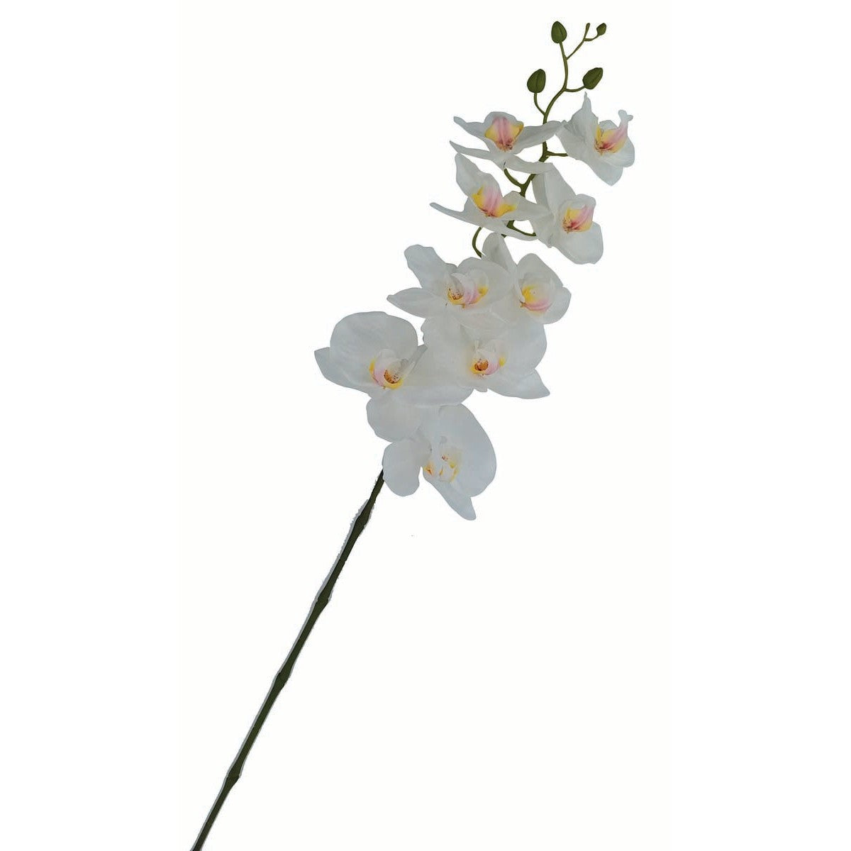 Κλαδί Ορχιδέα Λευκή 92εκ