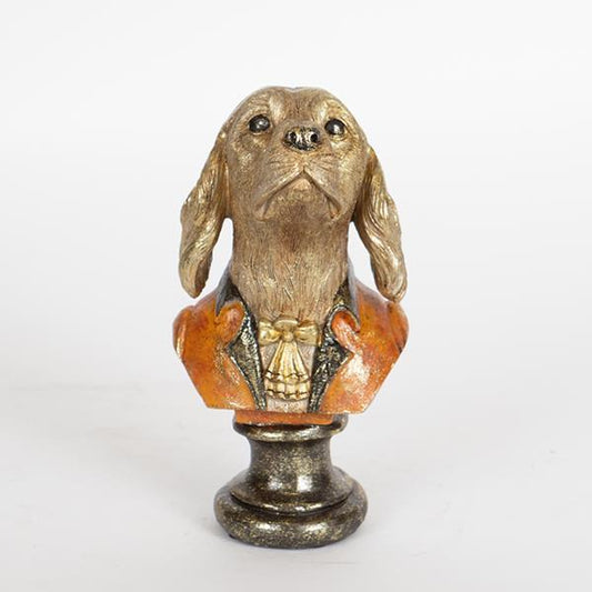 ΣΚΥΛΟΣ ΚΑΦΕ-ΧΡΥΣΟΣ 10x10x19.5