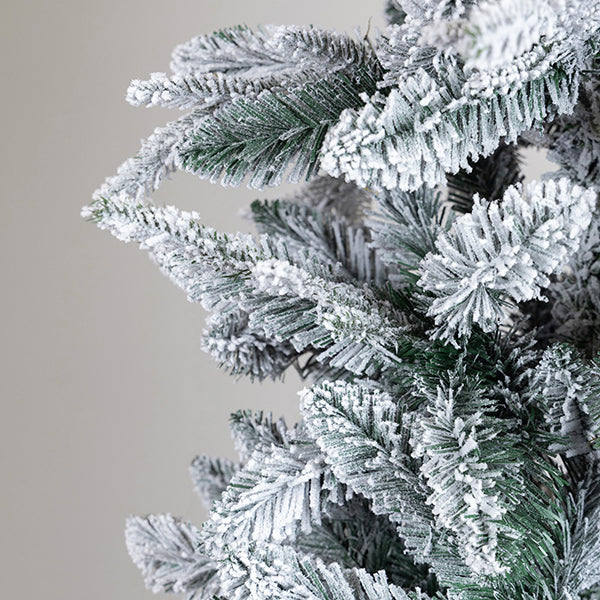 ΔΕΝΤΡΟ ΕΛΑΤΟ ΧΙΟΝΙΣΜΕΝΟ ΣΤΟΚΧΟΛΜΗ ΜΕ ΓΛΑΣΤΡΑΚΙ 73x73x210