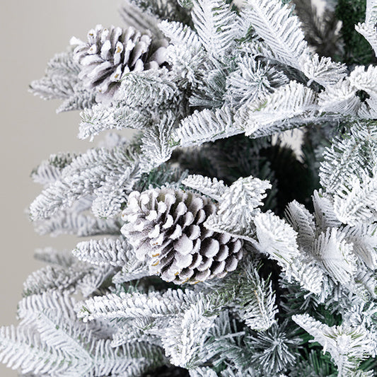 ΔΕΝΤΡΟ ΕΛΑΤΟ ΧΙΟΝΙΣΜΕΝΟ ΜΕ ΚΟΥΚΟΥΝΑΡΙΑ ΡΕΙΚΙΑΒΙΚ 129x129x210