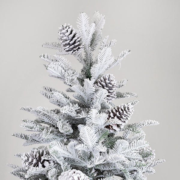 ΔΕΝΤΡΟ ΕΛΑΤΟ ΧΙΟΝΙΣΜΕΝΟ ΜΕ ΚΟΥΚΟΥΝΑΡΙΑ ΡΕΙΚΙΑΒΙΚ 129x129x210