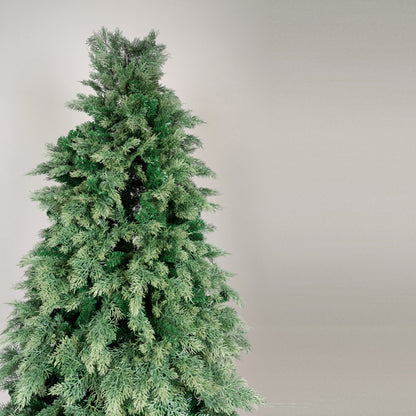 ΔΕΝΤΡΟ ΕΛΑΤΟ ΓΑΛΛΙΑ 138x138x220