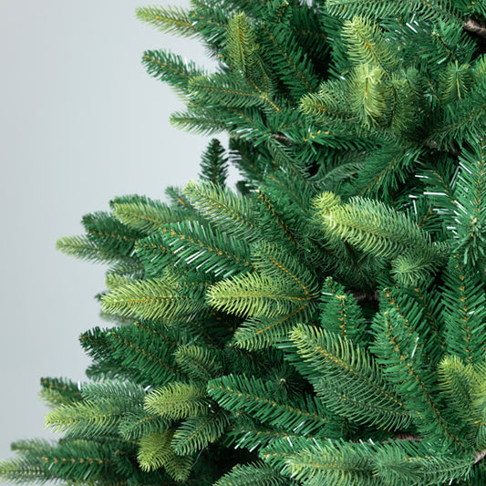 ΔΕΝΤΡΟ ΕΛΑΤΟ ΠΟΡΤΟΓΑΛΙΑ 162x162x225