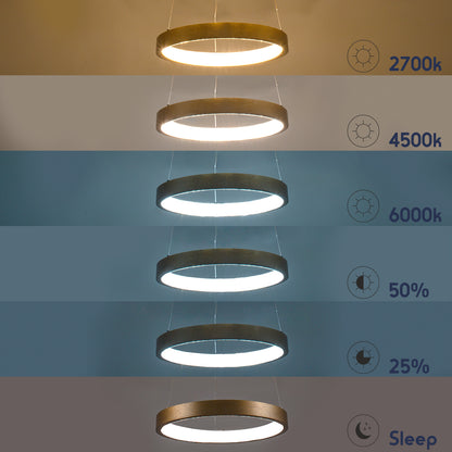 NEMESIS 61157 Κρεμαστό Φωτιστικό Δαχτυλίδι-Κύκλος LED CCT 30W 3513lm 360° AC 220-240V - Εναλλαγή Φωτισμού μέσω Τηλεχειριστηρίου All In One Ψυχρό 6000k+Φυσικό 4500k+Θερμό 2700k Dimmable Φ40cm - Χρυσό Βούρτσας