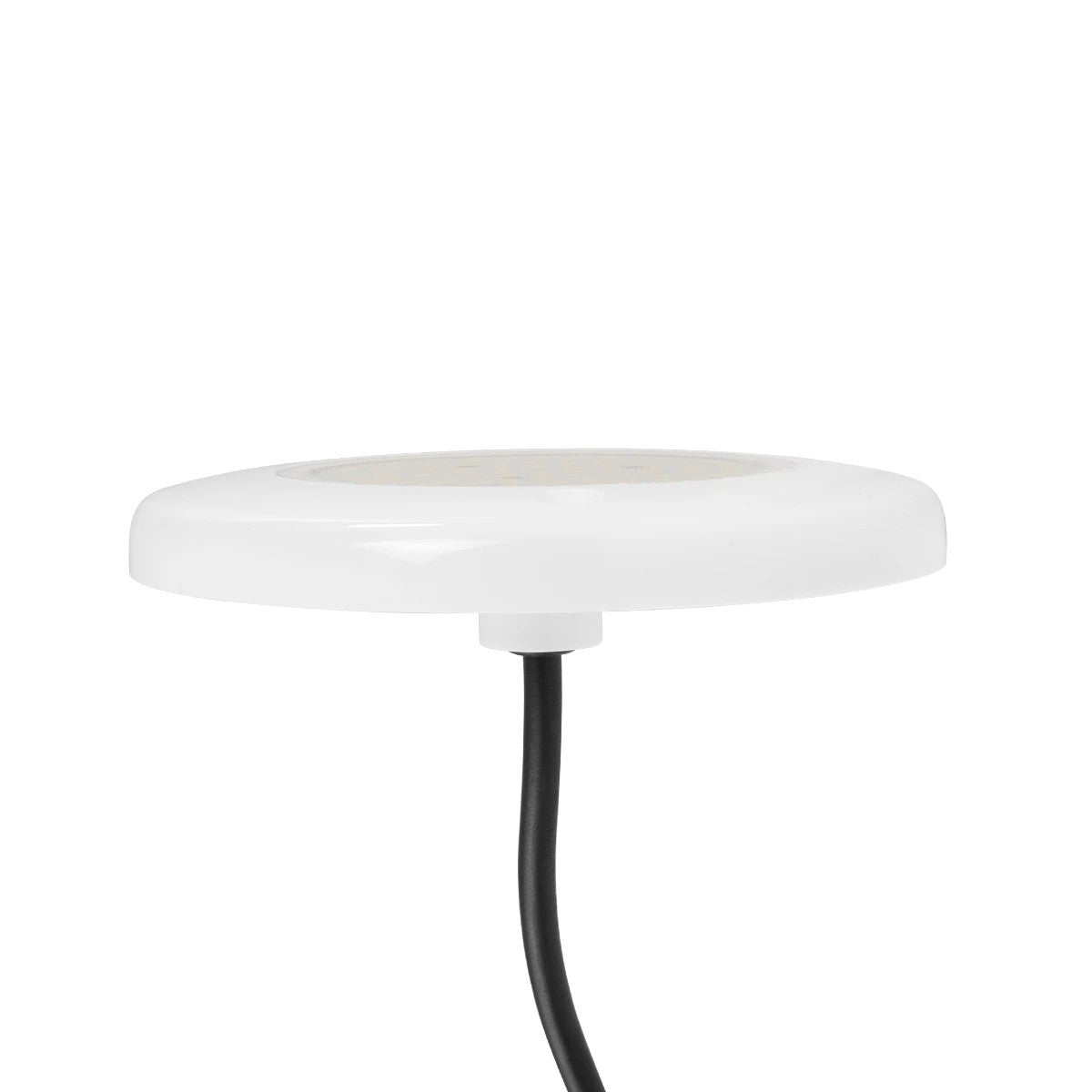 POOLARTY 61714 Υποβρύχιο Φωτιστικό για Σιντριβάνια/Πισίνες LED 8W 680lm 120° DC 12V Αδιάβροχο IP68 Ψυχρό Λευκό 6000K Dimmable - Bridgelux SMD Chip - 1m VDE Rubber Καλώδιο - Μ13 x Π13 x Υ2