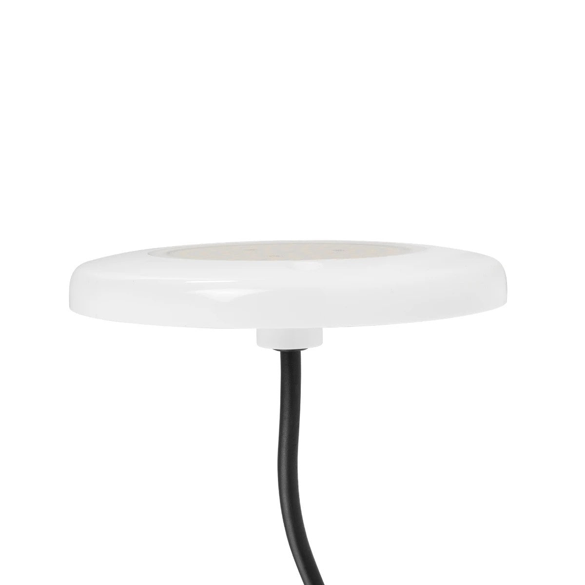 POOLARTY 61715 Υποβρύχιο Φωτιστικό για Σιντριβάνια/Πισίνες LED 8W 640lm 120° DC 12V Αδιάβροχο IP68 Φυσικό Λευκό 4500K Dimmable - Bridgelux SMD Chip - 1m VDE Rubber Καλώδιο - Μ13 x Π13 x Υ2