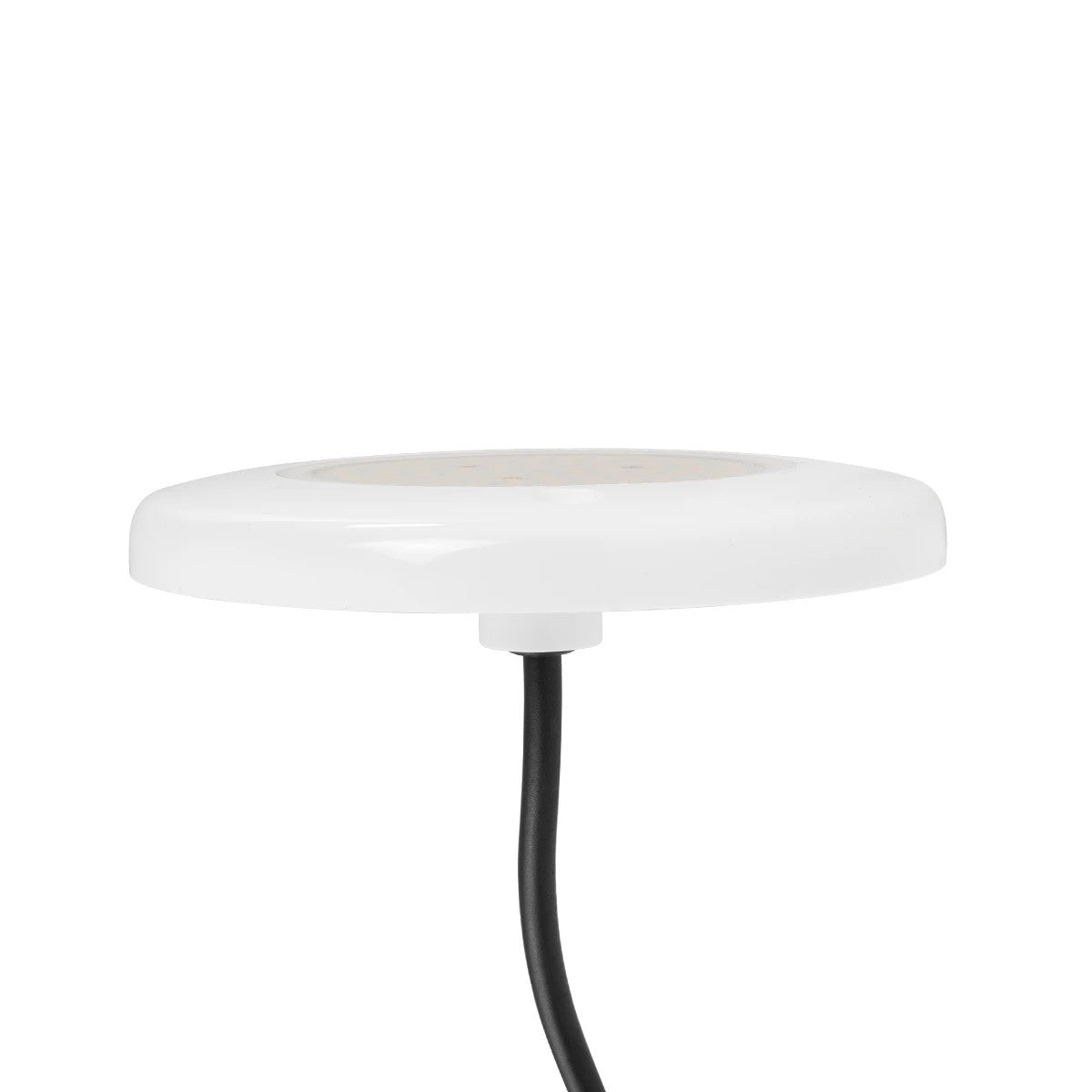 POOLARTY 61716 Υποβρύχιο Φωτιστικό για Σιντριβάνια/Πισίνες LED 8W 600lm 120° DC 12V Αδιάβροχο IP68 Θερμό Λευκό 2700K Dimmable - Bridgelux SMD Chip - 1m VDE Rubber Καλώδιο - Μ13 x Π13 x Υ2