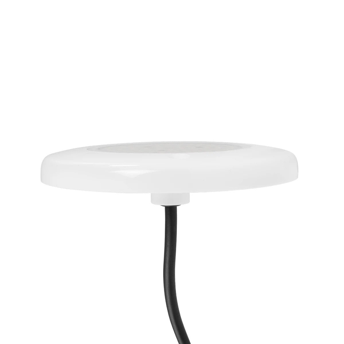 POOLARTY 61717 Υποβρύχιο Φωτιστικό για Σιντριβάνια/Πισίνες LED 8W 560lm 120° DC 12V Αδιάβροχο IP68 Μπλε Dimmable - Bridgelux SMD Chip - 1m VDE Rubber Καλώδιο - Μ13 x Π13 x Υ2