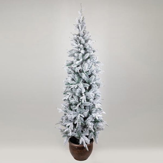 ΔΕΝΤΡΟ ΕΛΑΤΟ ΧΙΟΝΙΣΜΕΝΟ ΣΤΟΚΧΟΛΜΗ ΜΕ ΓΛΑΣΤΡΑΚΙ 88x88x240