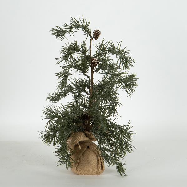 ΔΕΝΤΡΑΚΙ ΙΤΙΑ 15x15x44