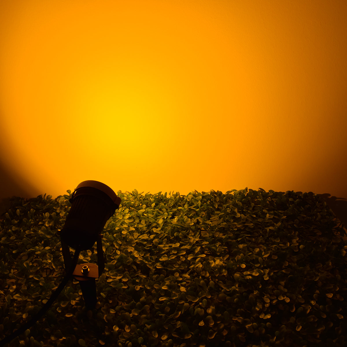 TREECOBO 75584 Φωτιστικό Σποτ για Φυτά - Δέντρα με Βάση Κήπου / Καρφωτό LED 10W 1000lm 35° DC 12-24V Αδιάβροχο IP67 Ultra Θερμό Λευκό 2200K Dimmable - Bridgelux COB Chip - Μαύρο - Μ6 x Π6 x Υ12.5