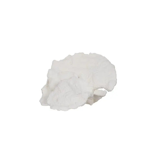 Artekko Διακοσμητικό Κοράλι Πολυρεσίνης Λευκό 76705