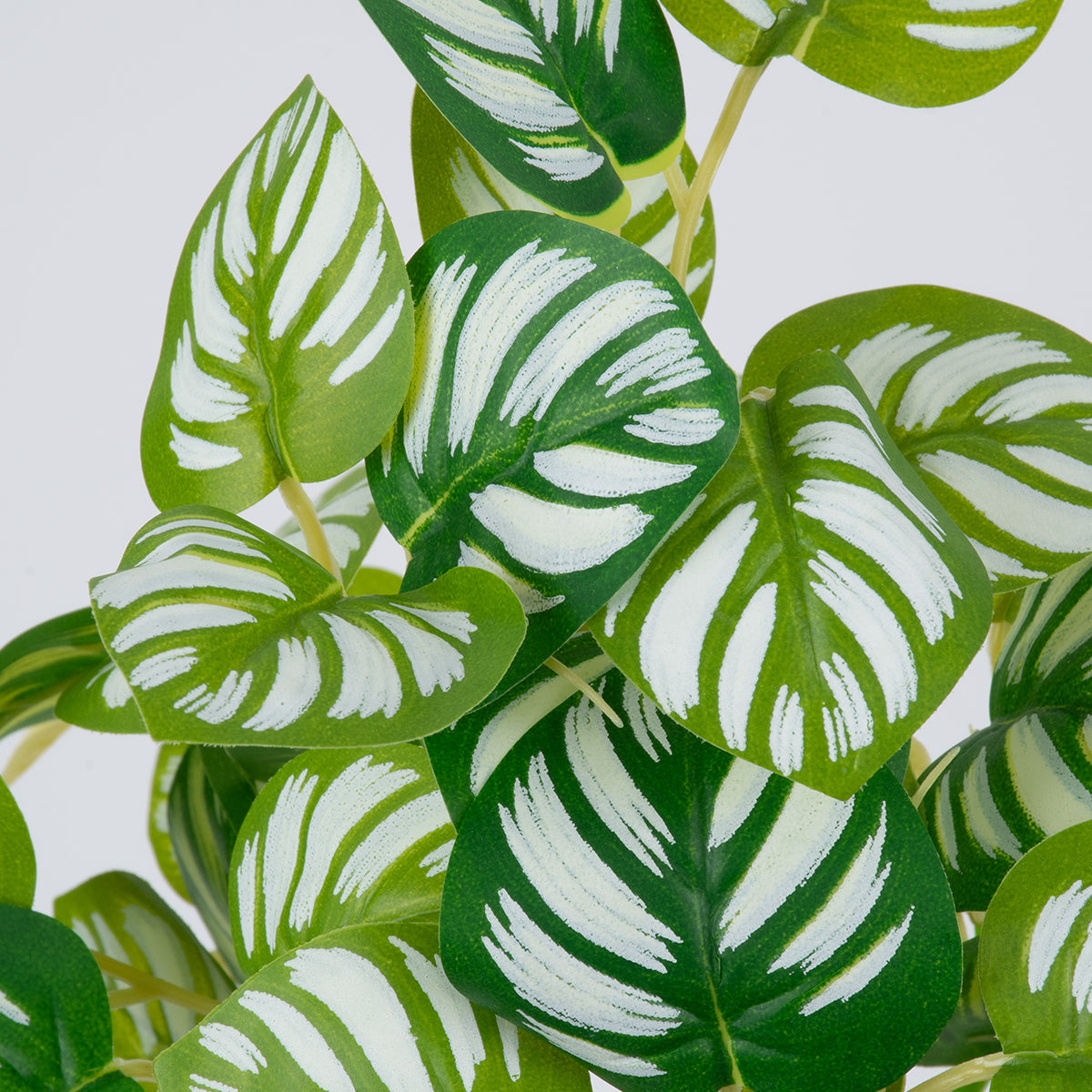 PEPEROMIA L.GREEN 78220 Τεχνητό Φυτό Πεπερόμια Αν.Πρ. - Μπουκέτο Διακοσμητικών Φυτών - Κλαδιών με Φύλλωμα Πράσινο - Κίτρινο - Λευκό Υ28cm