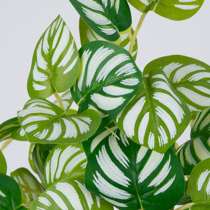 PEPEROMIA L.GREEN 78220 Τεχνητό Φυτό Πεπερόμια Αν.Πρ. - Μπουκέτο Διακοσμητικών Φυτών - Κλαδιών με Φύλλωμα Πράσινο - Κίτρινο - Λευκό Υ28cm