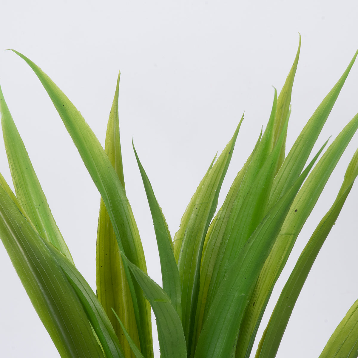 GREEN CORDYLINE 78230 Τεχνητό Φυτό Κορδιλύνη Πράσινη - Μπουκέτο Διακοσμητικών Φυτών - Κλαδιών με Φύλλωμα Πράσινο Υ33cm