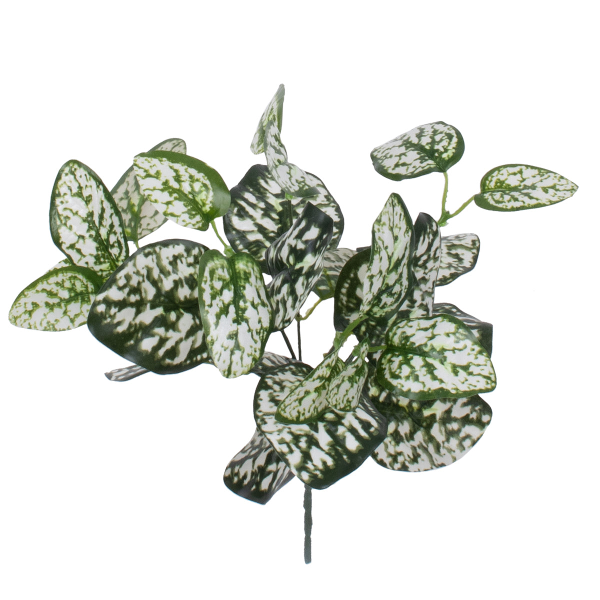 POLKA DOT PLANT 78259 Τεχνητό Φυτό Πόλκα - Μπουκέτο Διακοσμητικών Φυτών - Κλαδιών με Φύλλωμα Πράσινο - Λευκό Υ33cm