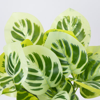 WHITE PEPEROMIA 78276 Τεχνητό Φυτό Πεπερόμια Λευκή - Μπουκέτο Διακοσμητικών Φυτών - Κλαδιών με Φύλλωμα Πράσινο - Λευκό Υ33cm