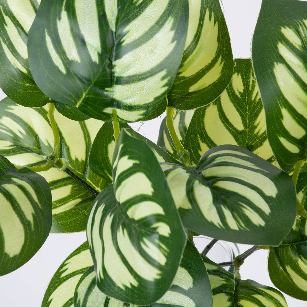 GREEN PEPEROMIA 78286 Τεχνητό Φυτό Πεπερόμια Πράσινη - Μπουκέτο Διακοσμητικών Φυτών - Κλαδιών με Φύλλωμα Πράσινο - Λευκό Υ33cm