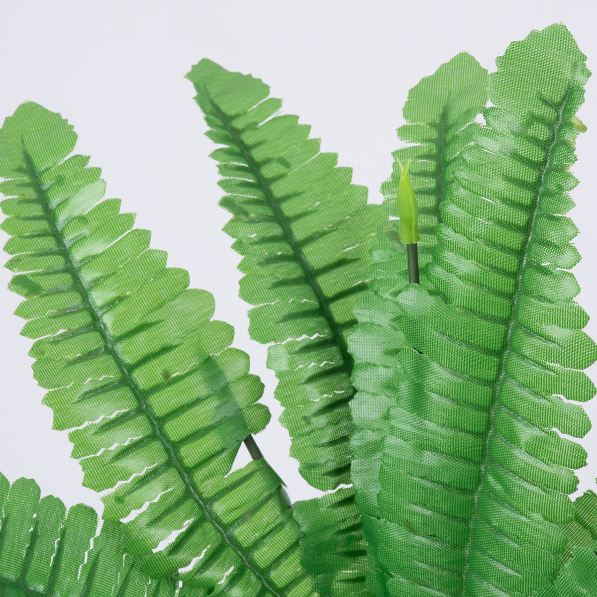 BOSTON FERN SMALL 78291 Τεχνητό Φυτό Φτέρη Βοστώνης Μικρή - Μπουκέτο Διακοσμητικών Φυτών - Κλαδιών με Φύλλωμα Πράσινο Υ30cm