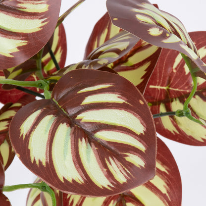 RED PEPEROMIA 78297 Τεχνητό Φυτό Πεπερόμια Κοκκ. - Μπουκέτο Διακοσμητικών Φυτών - Κλαδιών με Φύλλωμα Κόκκινο - Λευκό Υ30cm