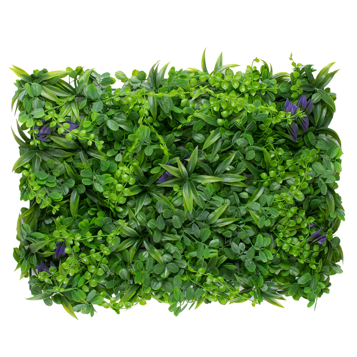 PEPPEROMIA 78434 Τεχνητό Πάνελ Φυλλωσιάς / Κάθετος Κήπος Πεπερόμια & Ζεβρίνα - Πράσινο - Μ60 x Π9 x Υ40