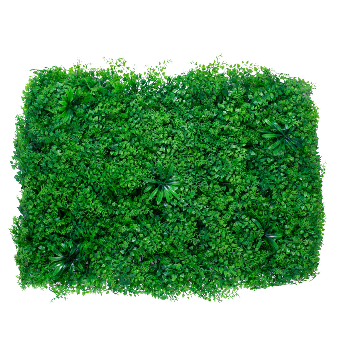 ALGELICA 78435 Τεχνητό Πάνελ Φυλλωσιάς / Κάθετος Κήπος Φύλλα Αγγελικής - Πράσινο - Μ60 x Π8 x Υ50