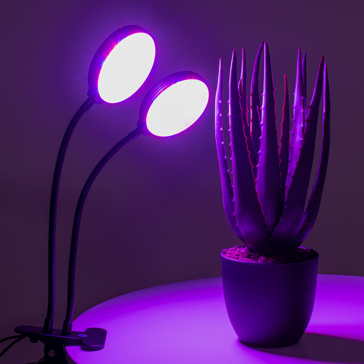 GROWME 79650 Φωτιστικό Ανάπτυξης Φυτών με Ενσωματωμένο Χειριστήριο LED 10W 300lm 120° DC 5V με USB 2.0 IP20 Πολύχρωμο Πλήρους Φάσματος Κόκκινο 660nm & Μπλε 450nm & UVIR 730nm Dimmable - Sanan SMD Chip - Μαύρο - Μ10 x Π30 x Υ36