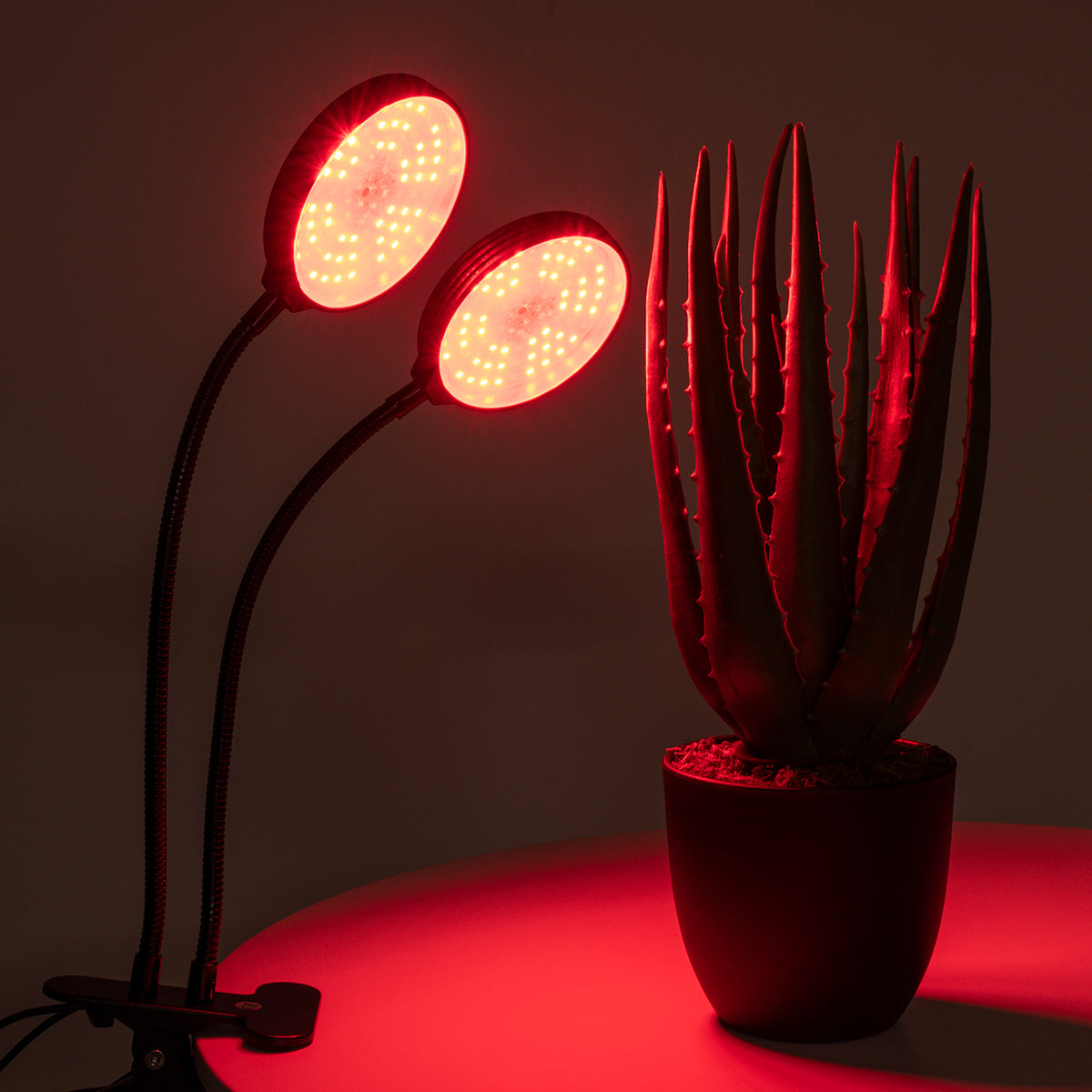 GROWME 79650 Φωτιστικό Ανάπτυξης Φυτών με Ενσωματωμένο Χειριστήριο LED 10W 300lm 120° DC 5V με USB 2.0 IP20 Πολύχρωμο Πλήρους Φάσματος Κόκκινο 660nm & Μπλε 450nm & UVIR 730nm Dimmable - Sanan SMD Chip - Μαύρο - Μ10 x Π30 x Υ36