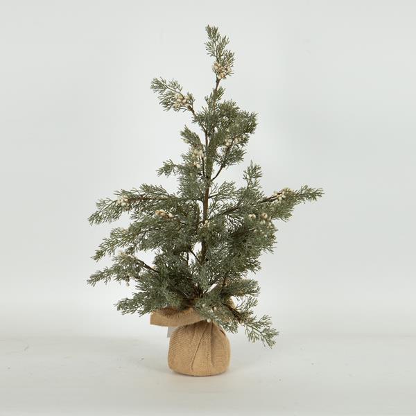 ΔΕΝΤΡΑΚΙ ΜΕ ΛΕΥΚΑ BERRIES 25x25x60