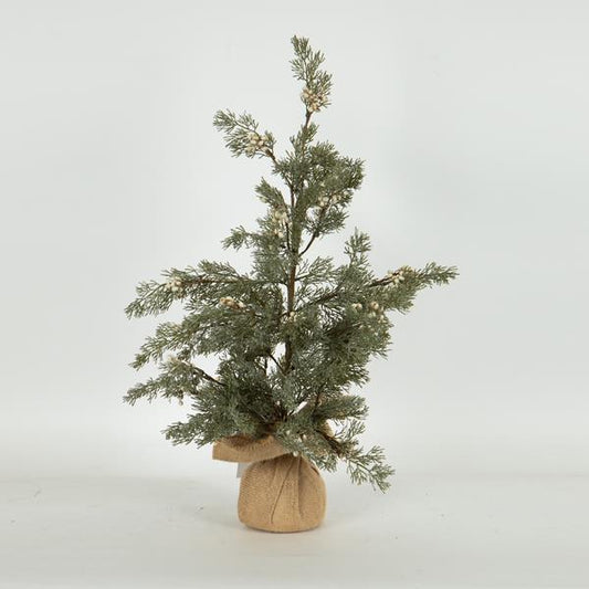 ΔΕΝΤΡΑΚΙ ΜΕ ΛΕΥΚΑ BERRIES 25x25x60