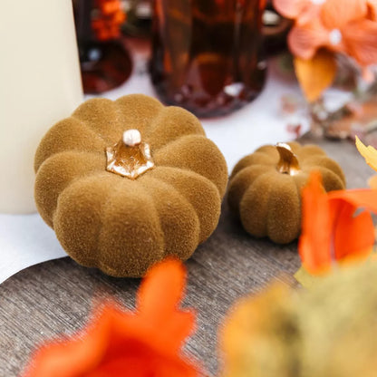 Κολοκύθα Βελούδινη Λαδί με Χρυσό 9x9x7