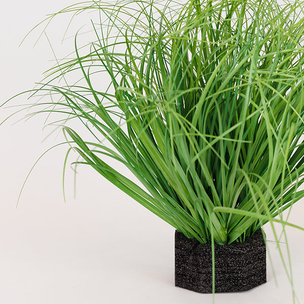 ΦΥΤΟ ΓΡΑΣΙΔΙ ΠΛΑΣΤΙΚΟ 35εκ