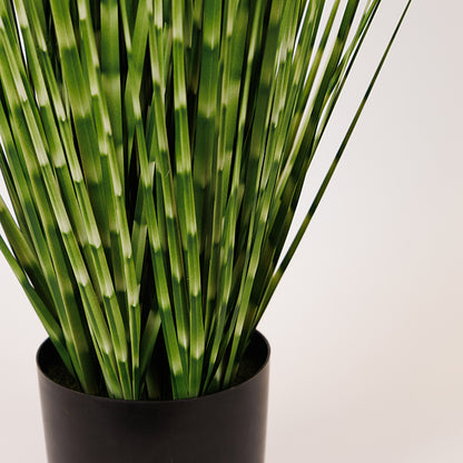 ΦΥΤΟ ΓΡΑΣΙΔΙ ΣΕ ΓΛΑΣΤΡΑ ΠΛΑΣΤΙΚΟ ΠΡΑΣΙΝΟ 92εκ