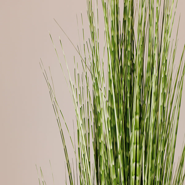 ΦΥΤΟ ΓΡΑΣΙΔΙ ΣΕ ΓΛΑΣΤΡΑ ΠΛΑΣΤΙΚΟ ΠΡΑΣΙΝΟ 153εκ