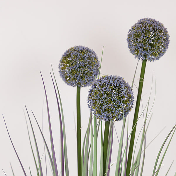 ΦΥΤΟ ΓΡΑΣΙΔΙ ΑΛΛΙΟ ΣΕ ΓΛΑΣΤΡΑ ΠΛΑΣΤΙΚΟ 80εκ