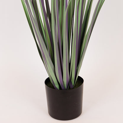 ΦΥΤΟ ΓΡΑΣΙΔΙ ΑΛΛΙΟ ΣΕ ΓΛΑΣΤΡΑ ΠΛΑΣΤΙΚΟ 80εκ