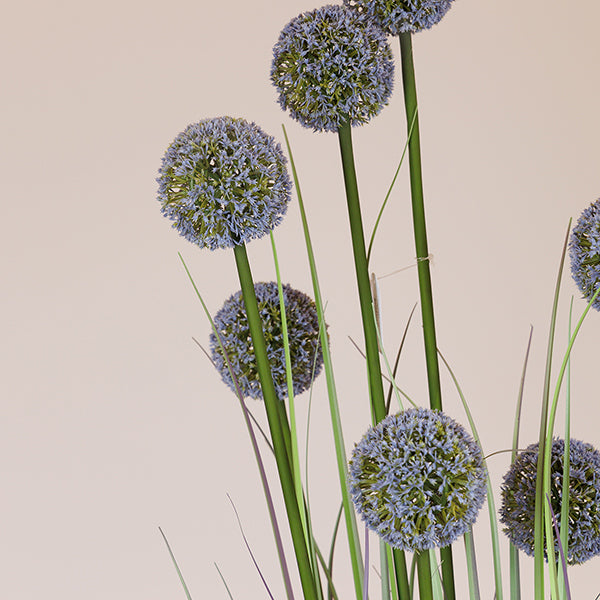 ΦΥΤΟ ΓΡΑΣΙΔΙ ΑΛΛΙΟ ΣΕ ΓΛΑΣΤΡΑ ΠΛΑΣΤΙΚΟ 140εκ