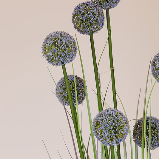 ΦΥΤΟ ΓΡΑΣΙΔΙ ΑΛΛΙΟ ΣΕ ΓΛΑΣΤΡΑ ΠΛΑΣΤΙΚΟ 140εκ