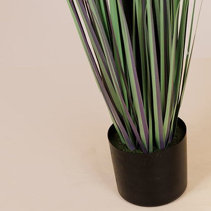 ΦΥΤΟ ΓΡΑΣΙΔΙ ΑΛΛΙΟ ΣΕ ΓΛΑΣΤΡΑ ΠΛΑΣΤΙΚΟ 140εκ