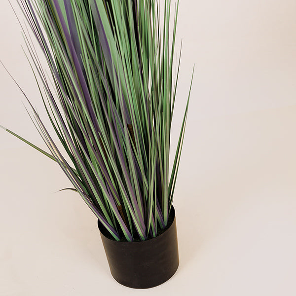 ΦΥΤΟ ΓΡΑΣΙΔΙ ΜΕ ΡΟΖ ΠΟΜΠΟΝ ΣΕ ΓΛΑΣΤΡΑ ΠΛΑΣΤΙΚΟ 122εκ