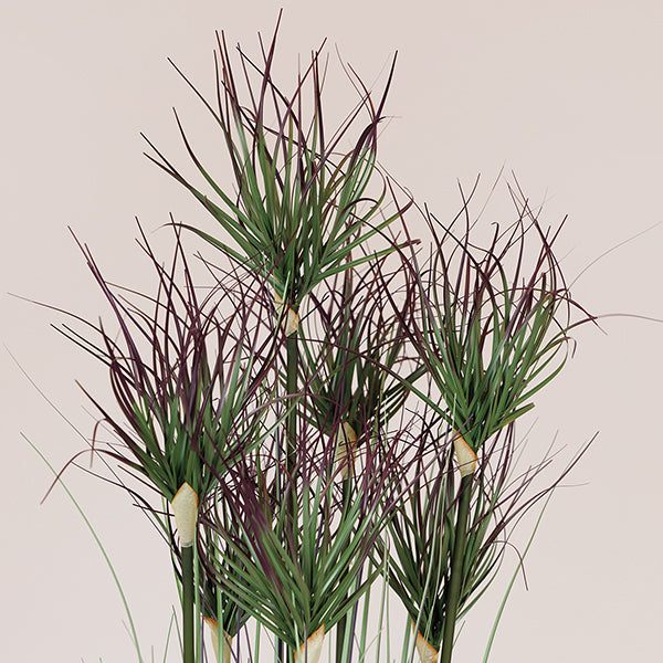 ΦΥΤΟ ΓΡΑΣΙΔΙ ΜΕ ΡΟΖ ΑΝΘΟΣ ΣΕ ΓΛΑΣΤΡΑ ΠΛΑΣΤΙΚΟ 122εκ