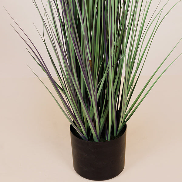 ΦΥΤΟ ΓΡΑΣΙΔΙ ΜΕ ΡΟΖ ΑΝΘΟΣ ΣΕ ΓΛΑΣΤΡΑ ΠΛΑΣΤΙΚΟ 122εκ