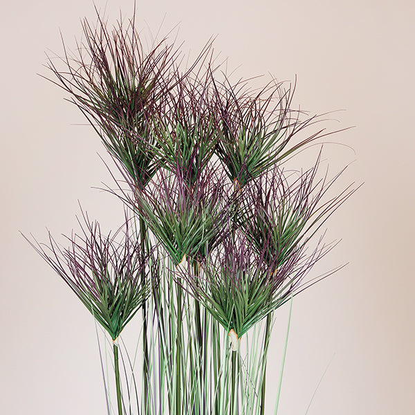 ΦΥΤΟ ΓΡΑΣΙΔΙ ΣΕ ΓΛΑΣΤΡΑ ΠΛΑΣΤΙΚΟ 183εκ