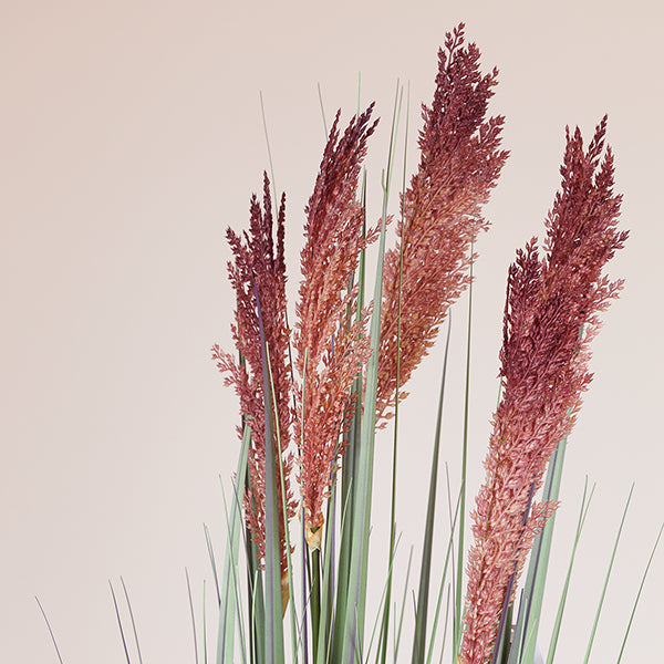 ΦΥΤΟ ΓΡΑΣΙΔΙ ΜΕ ΡΟΖ ΑΝΘΟΣ ΣΕ ΓΛΑΣΤΡΑ ΠΛΑΣΤΙΚΟ 122εκ