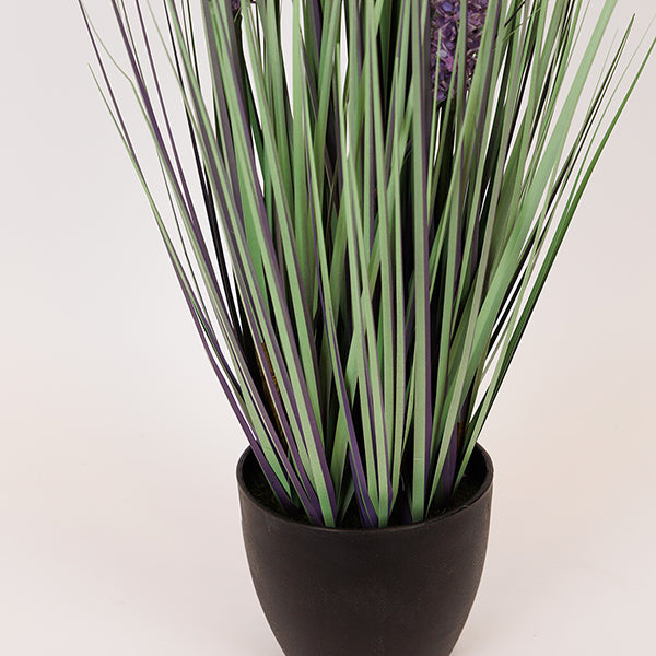 ΦΥΤΟ ΕΡΕΜΟΥΡΟΣ ΣΕ ΓΛΑΣΤΡΑ ΠΛΑΣΤΙΚΟ 80εκ