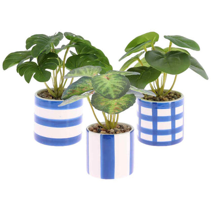 Artificial Plant in Ceramic Pot Blue White Φ8x17
