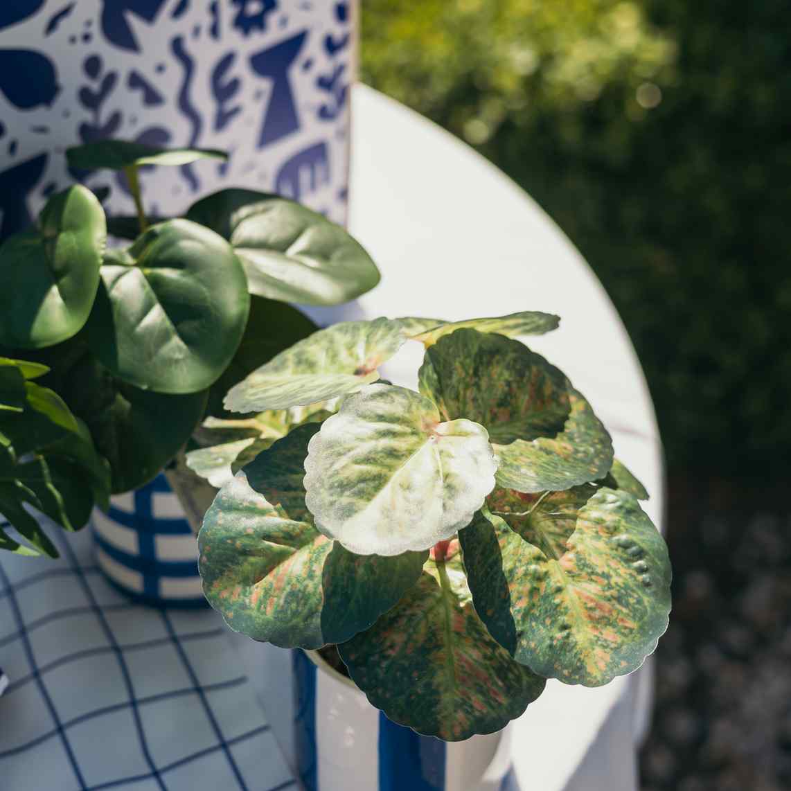 Artificial Plant in Ceramic Pot Blue White Φ8x17