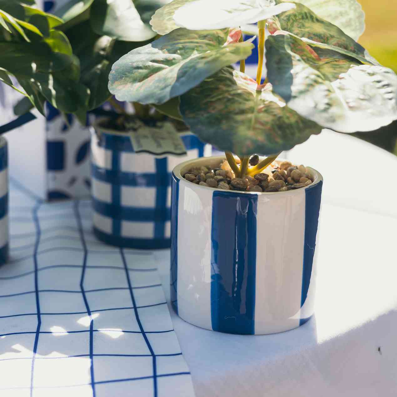 Artificial Plant in Ceramic Pot Blue White Φ8x17